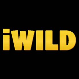 iWild casino criptomonedas Chile